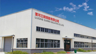 China Luohe Sunri Gelatin Co.,LTD. company profile