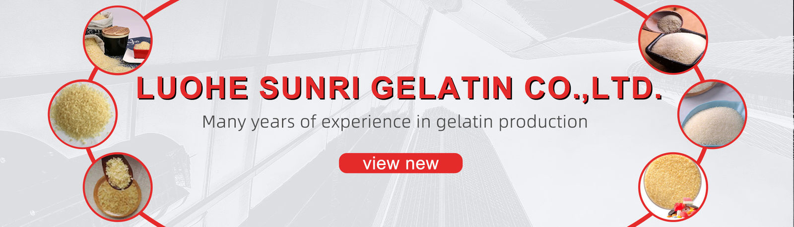 chất lượng Bột gelatin công nghiệp nhà máy sản xuất