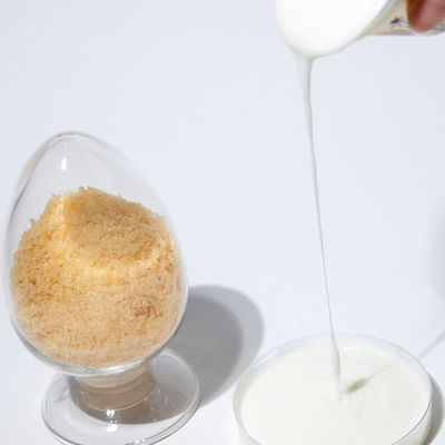 Food Grade Halal Edible Pork Gelatin Powder Pork Skin Gelatin CAS 9000-70-8