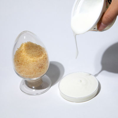 Food Grade Halal Edible Pork Gelatin Powder Pork Skin Gelatin CAS 9000-70-8