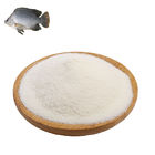 CAS 9000-70-8 Bột gelatin thực phẩm dạng bột mịn 25kgs / túi