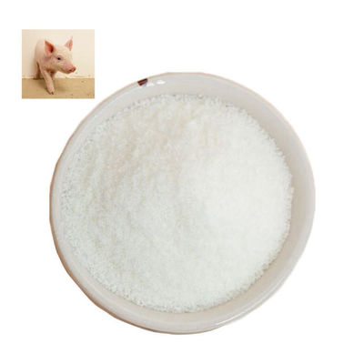 Multifunctional  Animal Bone Gelatin Powder Collagen Gelatin Powder 220bloom
