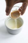 A gelatina branca do produto comestível pulveriza a textura 25kg/Bag lisa