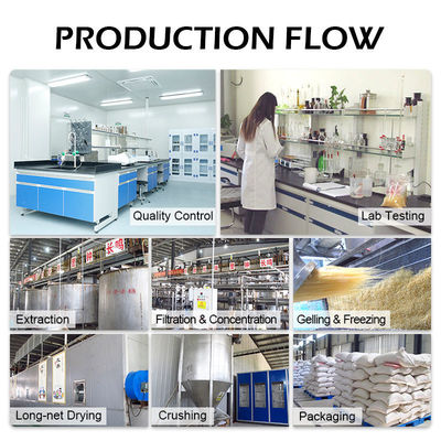 Animal Bone Glue And Water Resistance Technical For Room Temperature Storage