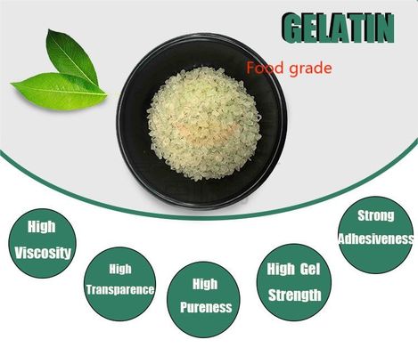 Cendre en poudre de gélatine bovine de qualité alimentaire ≤ 2,0% Viscosité 1,0-2,0 Mpa.S Isoproduit