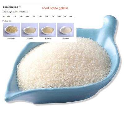 Poudre de gélatine industrielle blanche non comestible dont la taille des particules est ≤ 80 mesh