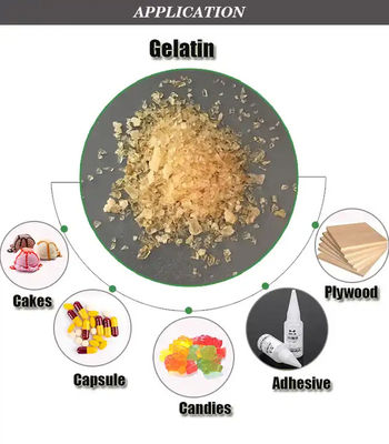 Tahan air tinggi Lem tulang Gelatin Kekuatan tarik tinggi