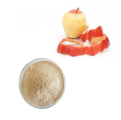 Halal Food Additives Food Grade Pectin 99% Lm/Hm Citrus Pectin Powder China Manufacturer