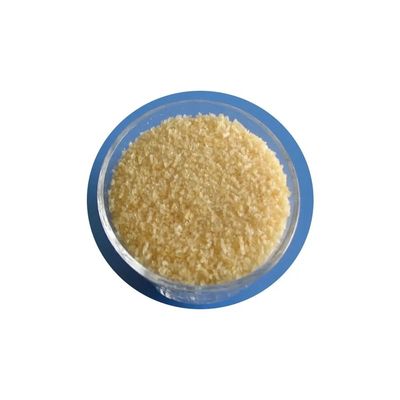 Food Additive Gelatin Powder Food Grade Gelatin CAS 9000-70-8 Gelatin Powder
