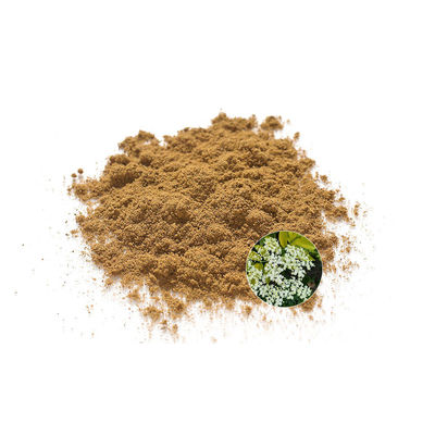 100% Pure Organic Elderberry Extract Powder Bone Health