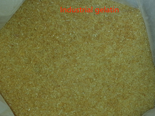 Industrial Gelatin Powder No Smell