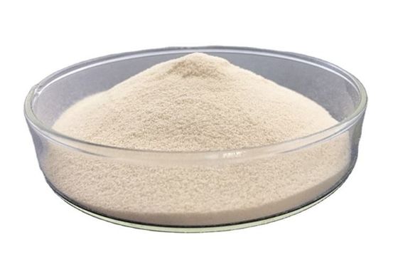 Natural Sugar Free Pork Gelatin Powder Hydrolyzed Gelatin Powder 60mesh