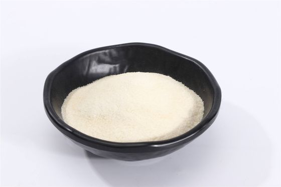 CAS 9000-70-8 Halal Pure Gelatin Powder For Food  Beverage  60mesh