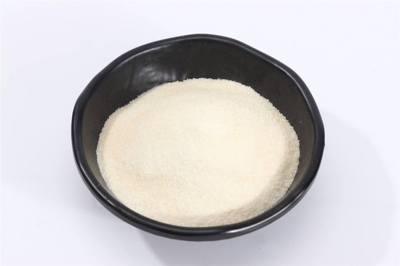 CAS 9000-70-8 Halal Pure Gelatin Powder For Food  Beverage  60mesh