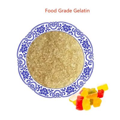 Pó Halal inodoro da gelatina com viscosidade ≥5.0mpa. Vida útil de S 24 meses