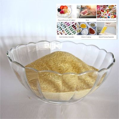Unflavored Gelatin Edible Powder Haccp Certified