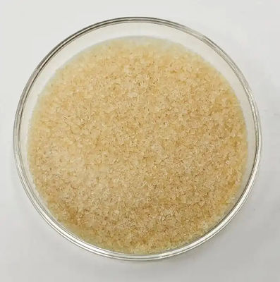 Nutrient Rich Edible Collagen Powder Bulk Packaging