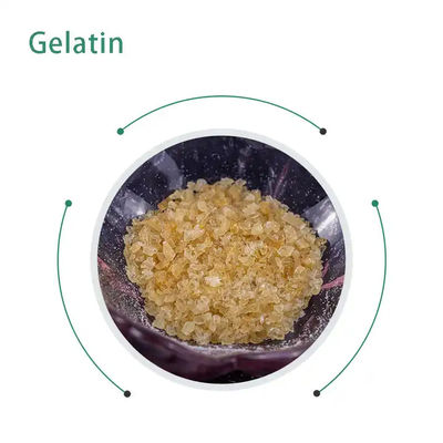 Protein Rich Beef Gelatine Protein Content ≥90% No Additives
